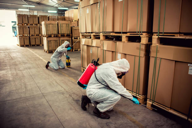Best Mosquito Control Services  in Indiana, PA