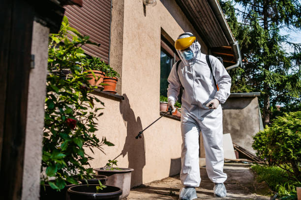 Best Wasp Removal Services  in Indiana, PA