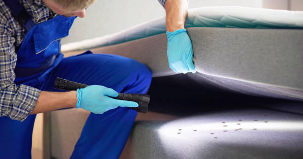 Best Best Pest Control Companies  in Indiana, PA