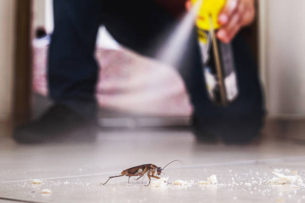 Reliable Indiana, PA Pest Control Solutions