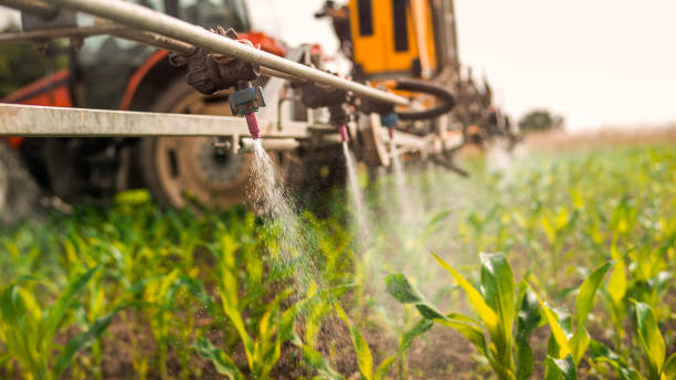 Best Commercial Pest Control Services  in Indiana, PA